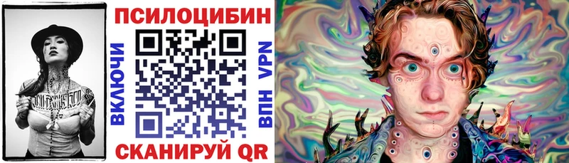 darknet телеграм  купить наркотики цена  Мирный  Галлюциногенные грибы мицелий 
