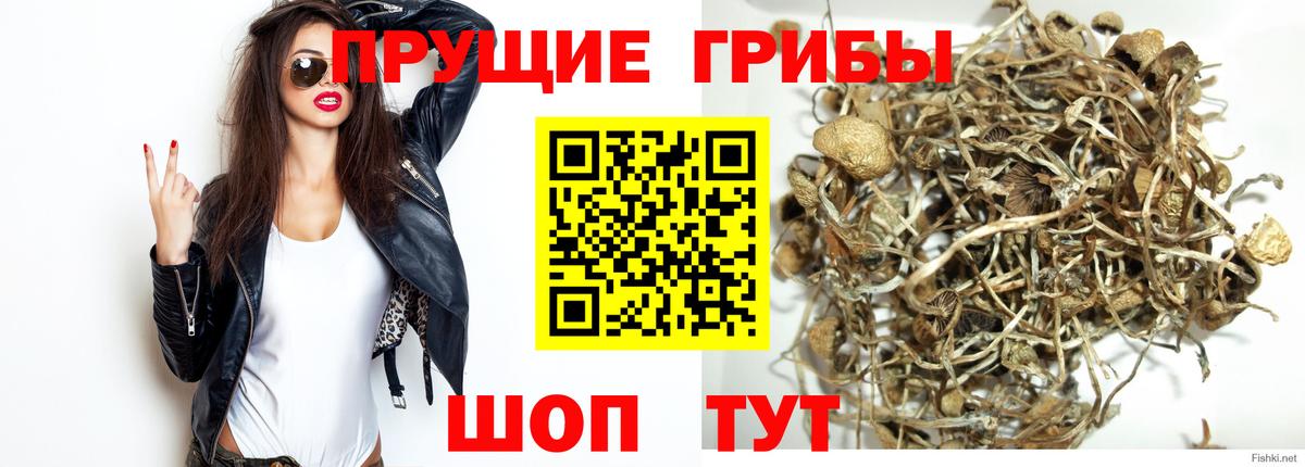 Мирный  купить наркотик  Вход с VPN  Псилоцибиновые грибы мухоморы  Псилоцибиновые грибы Cubensis 